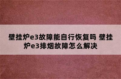 壁挂炉e3故障能自行恢复吗 壁挂炉e3排烟故障怎么解决